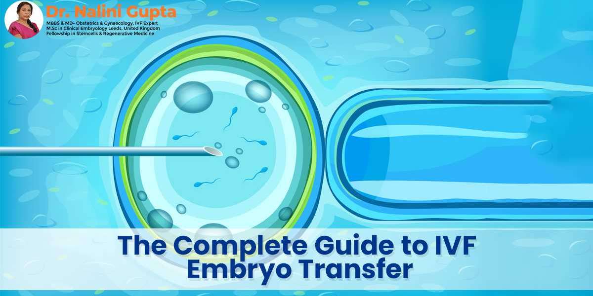 The Complete Guide to IVF Embryo Transfer