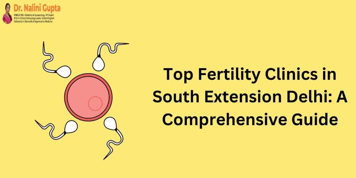 Top Fertility Clinics in South Extension Delhi: A Comprehensive Guide