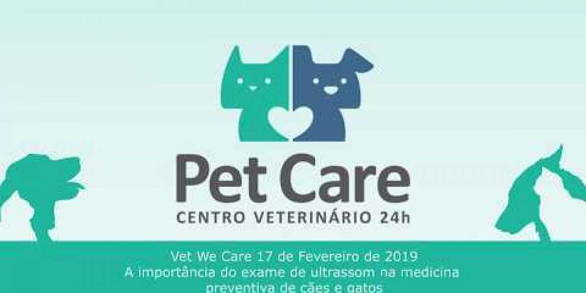 Entenda os Custos do Raio X para Gatos e Como Isso Pode Beneficiar a Saúde do Seu Pet