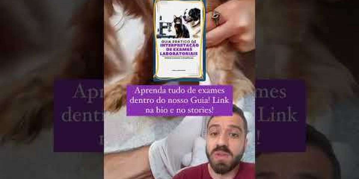 ¿Cómo saber si un perro tiene problemas cardíacos? Respuestas rápidas