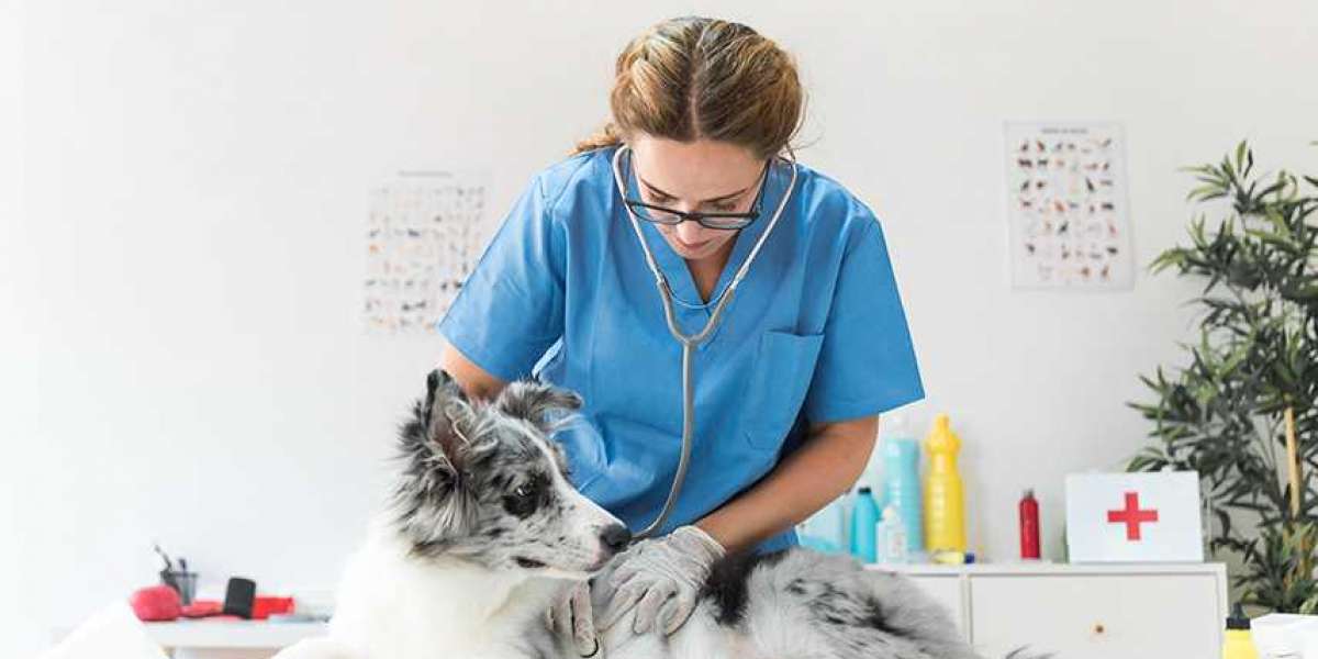 Radiografía veterinaria sistema de radiografía veterinaria Todos los fabricantes de dispositivos médicos