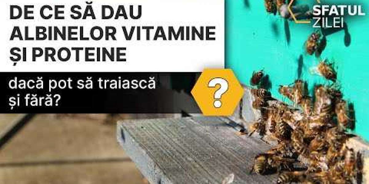 ¿Es peligroso el nivel alto de vitamina B12 en la sangre? Qué hacer en estos casos SaúdeLab