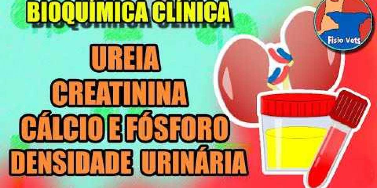 Insuficiencia cardíaca en perros Síntomas y tratamiento