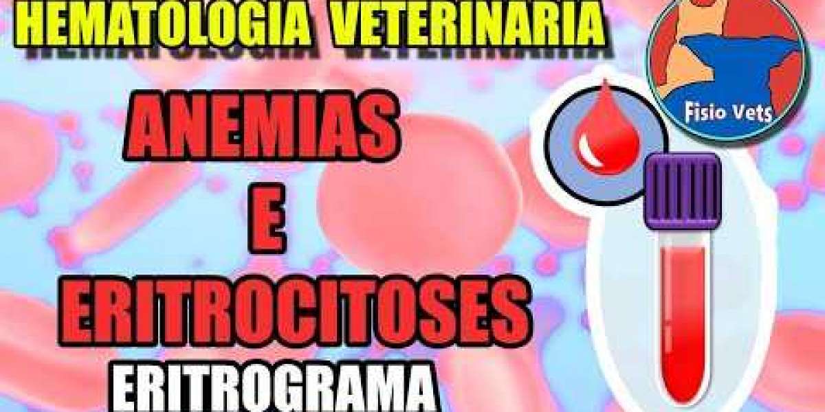 Reconoce los problemas cardiacos en perros